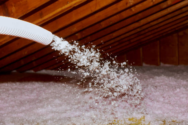 Types of Insulation We Offer in Dallas, TX