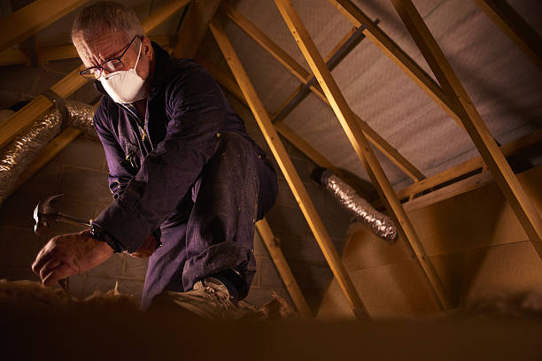 Best Commercial Insulation in Dallas, TX